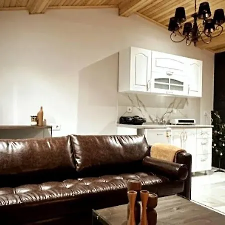 Duplex In The Center Of 公寓 *